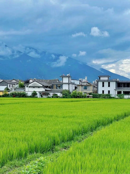 6-Day Colorful Yunnan Odyssey (Stone Forest · Erhai Lake · Jade Dragon Snow Mountain · Lijiang Old Town)