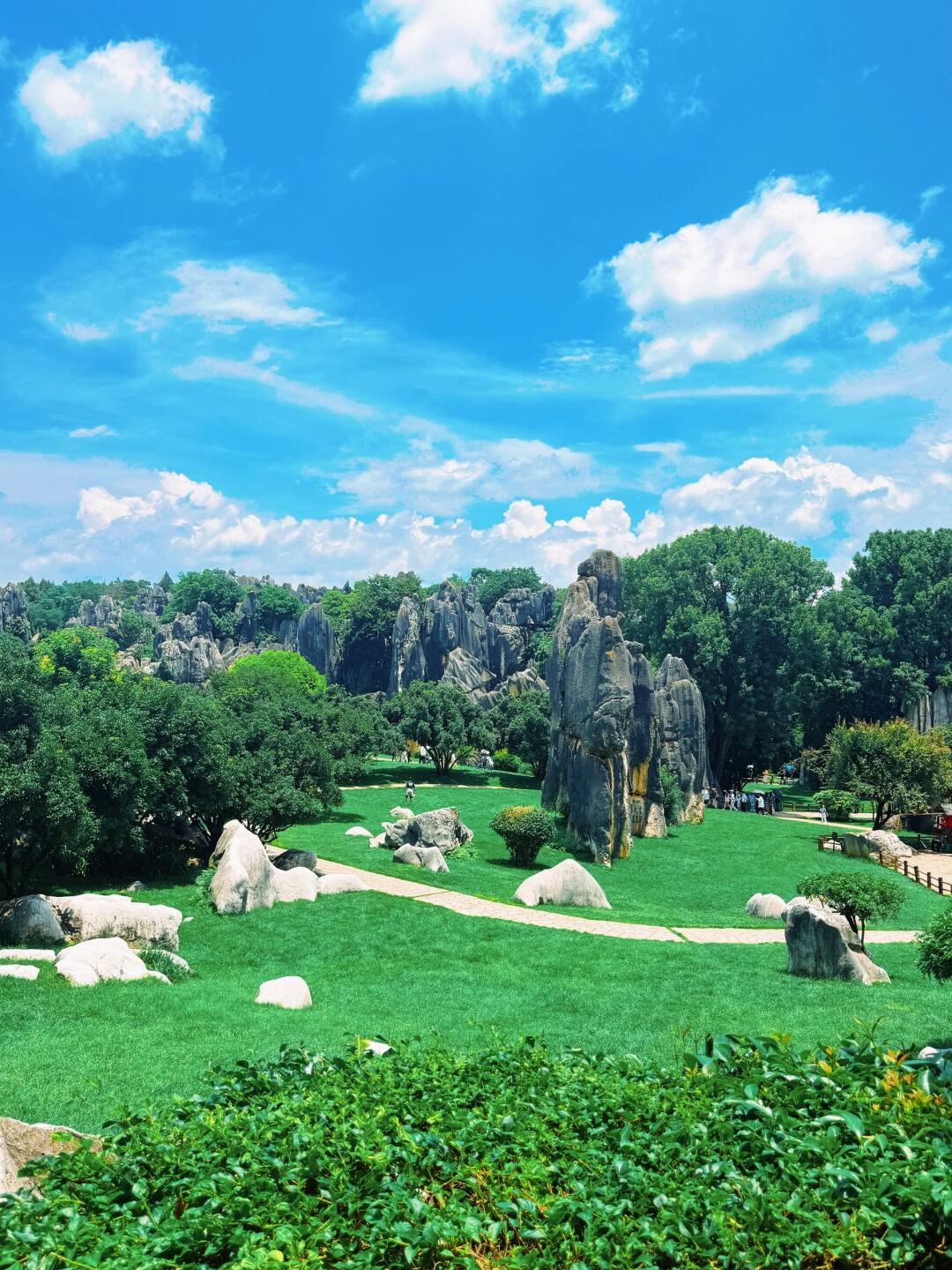 6-Day Colorful Yunnan Odyssey (Stone Forest · Erhai Lake · Jade Dragon Snow Mountain · Lijiang Old Town)