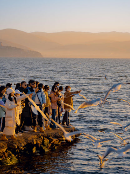 6-Day Colorful Yunnan Odyssey (Stone Forest · Erhai Lake · Jade Dragon Snow Mountain · Lijiang Old Town)