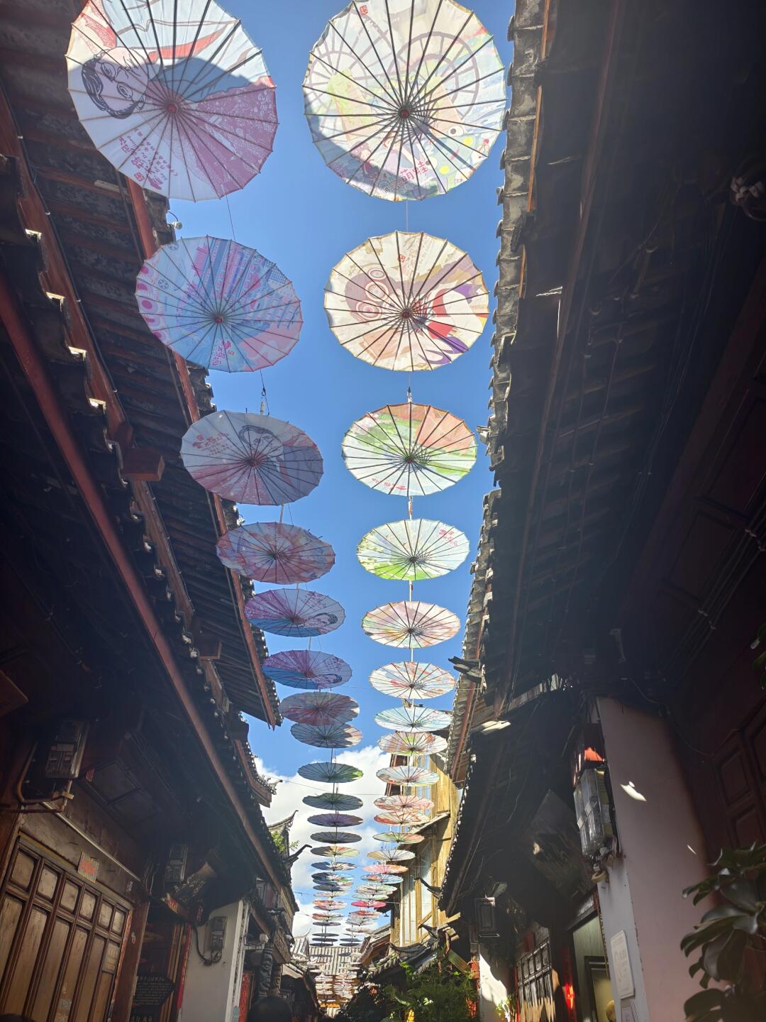 6-Day Colorful Yunnan Odyssey (Stone Forest · Erhai Lake · Jade Dragon Snow Mountain · Lijiang Old Town)
