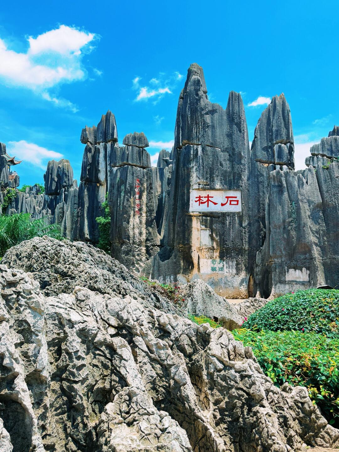 6-Day Colorful Yunnan Odyssey (Stone Forest · Erhai Lake · Jade Dragon Snow Mountain · Lijiang Old Town)