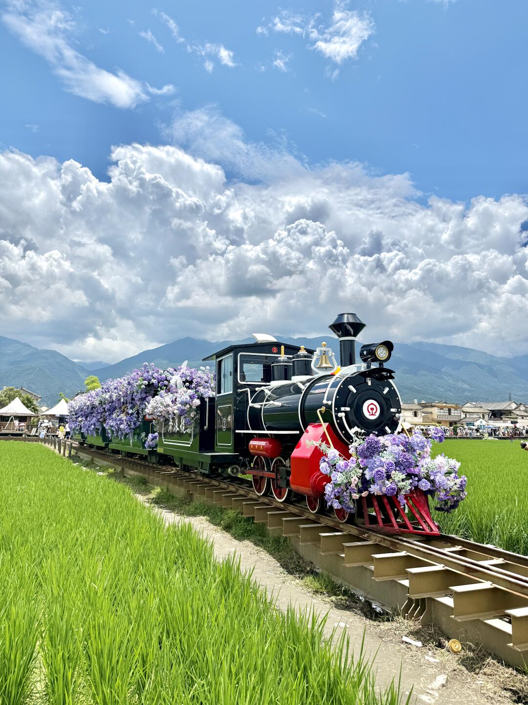 6-Day Colorful Yunnan Odyssey (Stone Forest · Erhai Lake · Jade Dragon Snow Mountain · Lijiang Old Town)