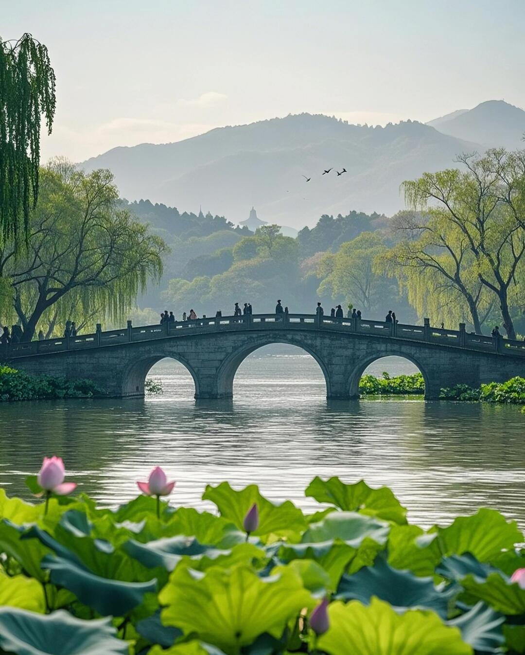 5 DAYS Modern Skylines & Ancient Charm Classic Journey Through East China（Vibrant Shanghai · Elegant Suzhou · Poetic Hangzhou）