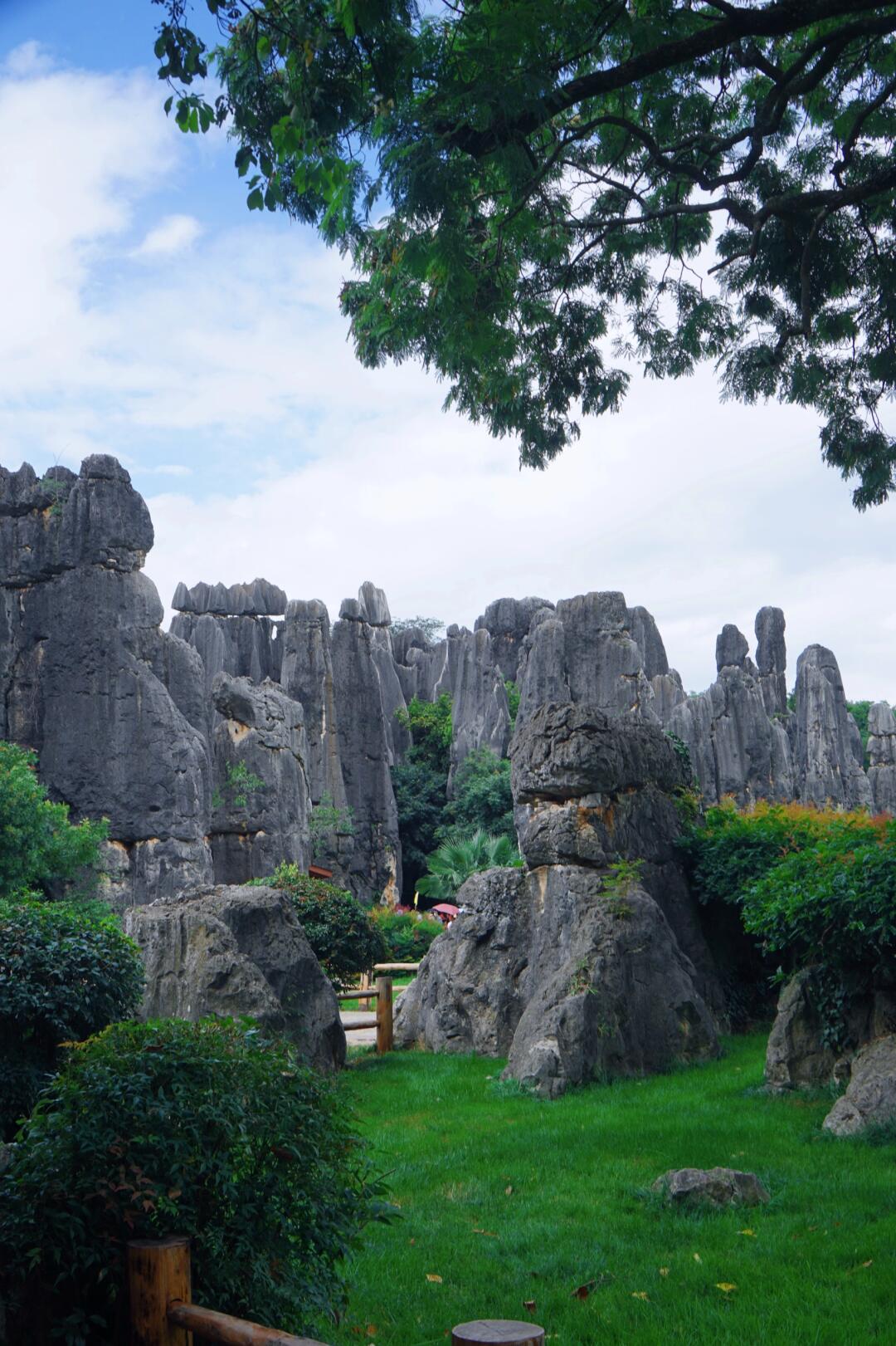 6-Day Colorful Yunnan Odyssey (Stone Forest · Erhai Lake · Jade Dragon Snow Mountain · Lijiang Old Town)