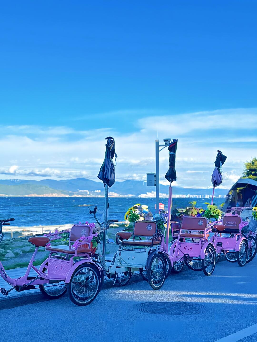 6-Day Colorful Yunnan Odyssey (Stone Forest · Erhai Lake · Jade Dragon Snow Mountain · Lijiang Old Town)
