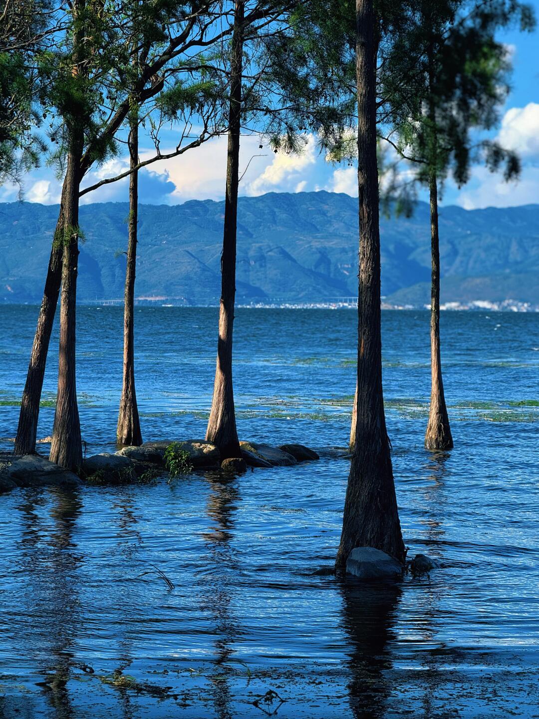 6-Day Colorful Yunnan Odyssey (Stone Forest · Erhai Lake · Jade Dragon Snow Mountain · Lijiang Old Town)